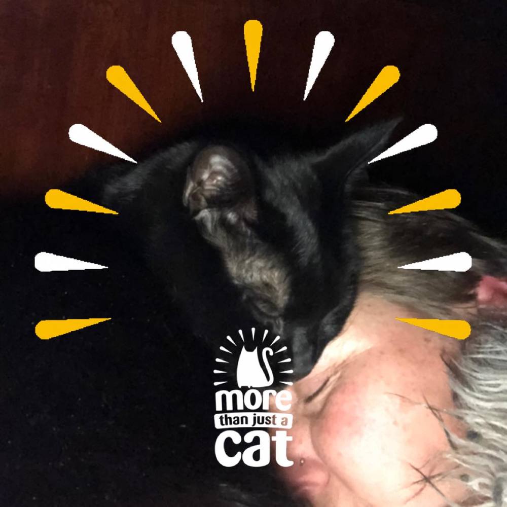 Meet your Posher, Allyson